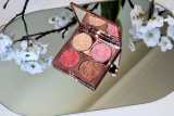 By Terry Brightening CC Palette